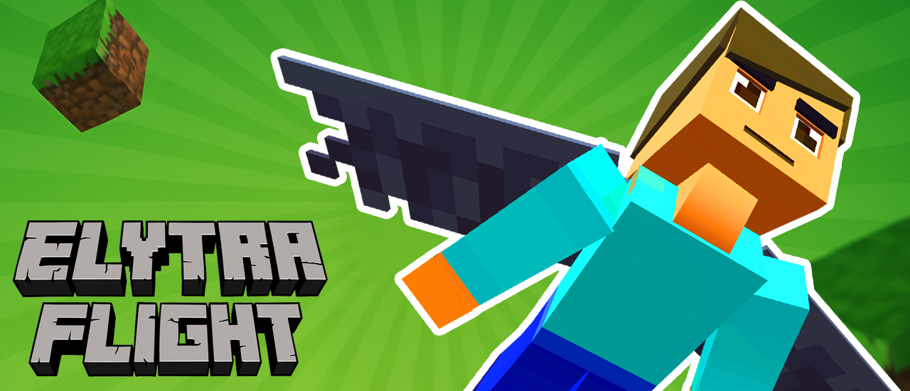 Elytra Flight